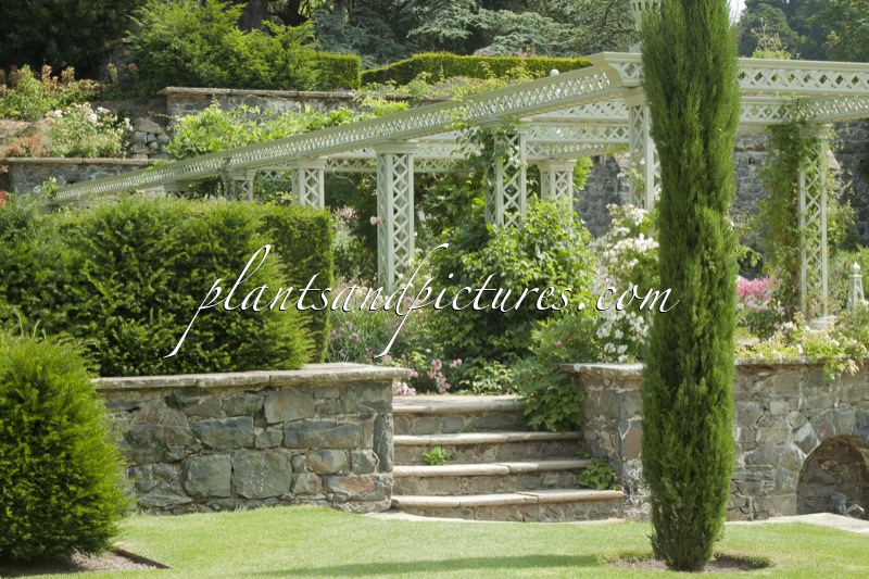 Bodnant Garden
