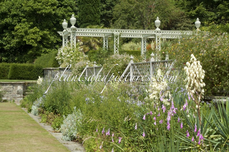 Bodnant Garden