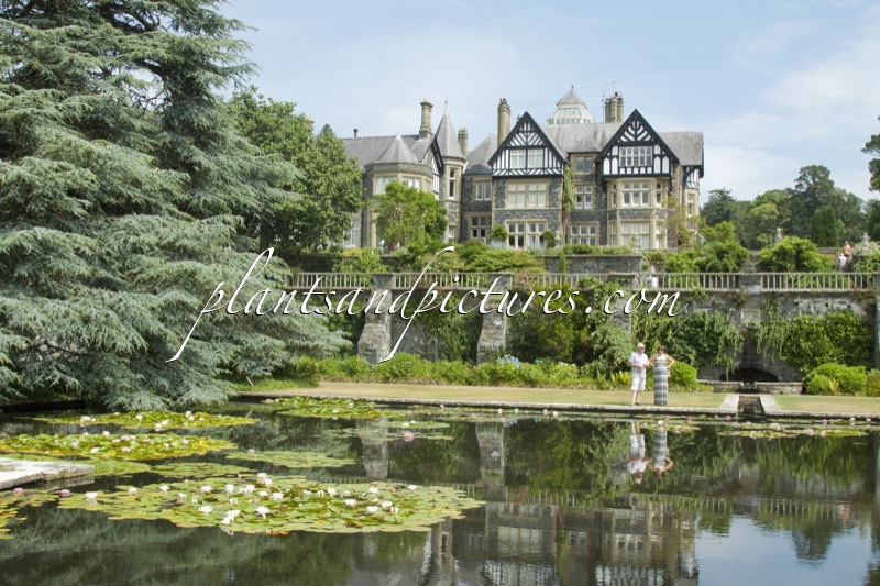 Bodnant Garden