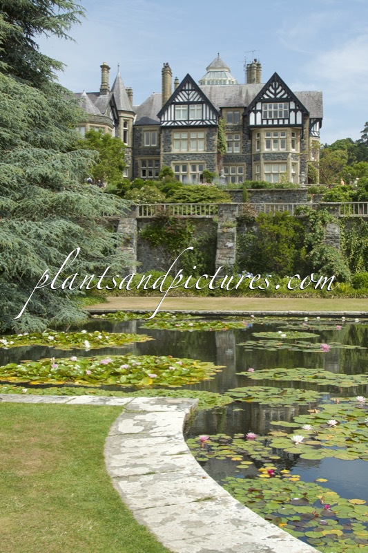 Bodnant Garden