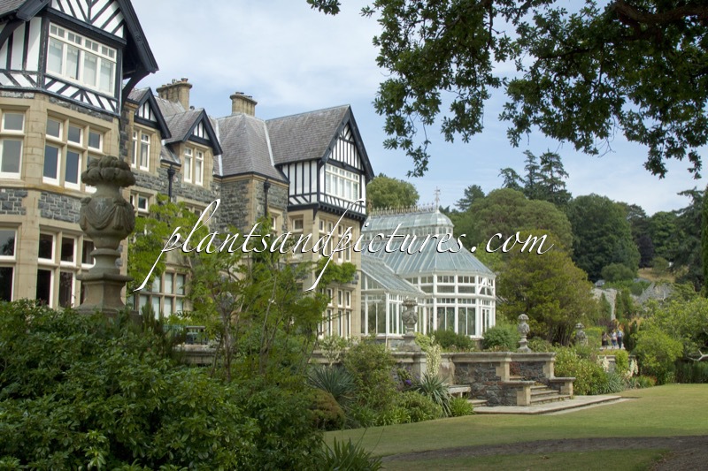 Bodnant Garden
