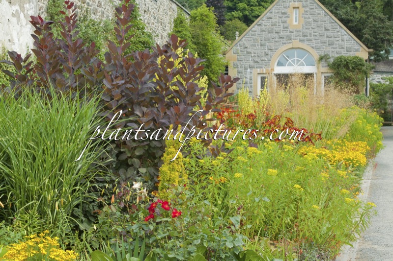 Bodnant Garden