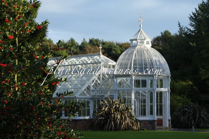 Malahide Castle