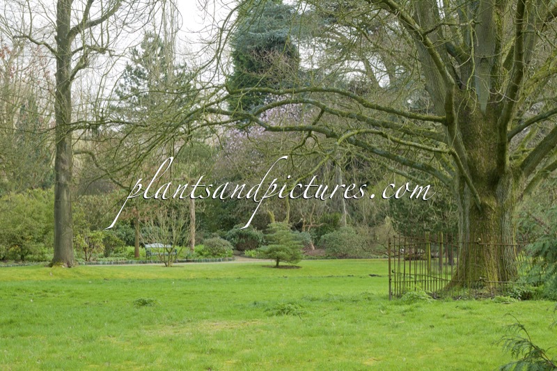 Trompenburg Tuinen & Arboretum