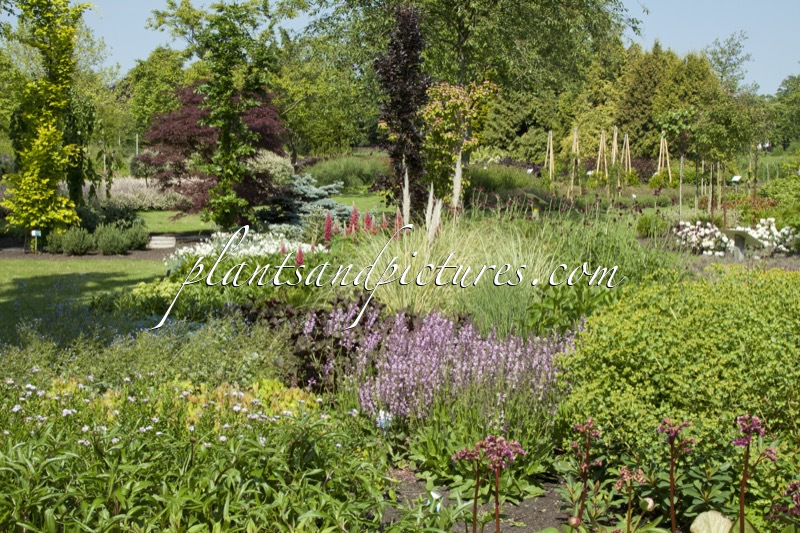 Sortimentstuin Harry van de Laar