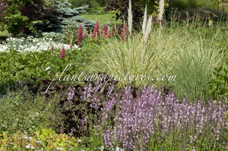 Sortimentstuin Harry van de Laar