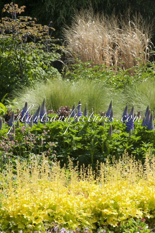 Sortimentstuin Harry van de Laar