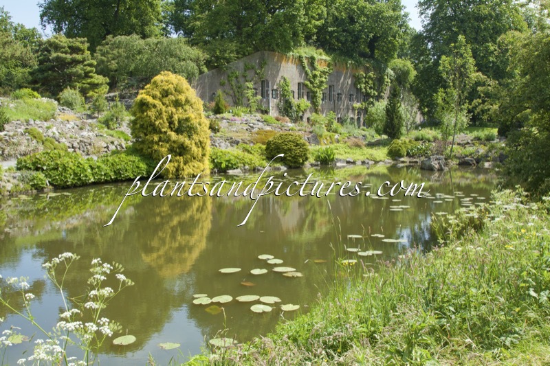 Botanische Tuinen Utrecht