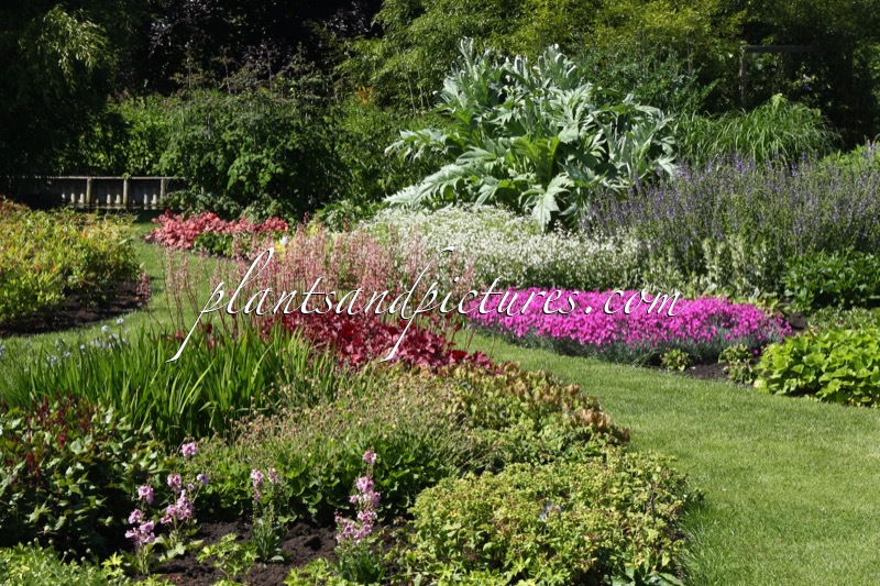 Sortimentstuin Harry van de Laar