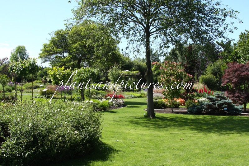 Sortimentstuin Harry van de Laar