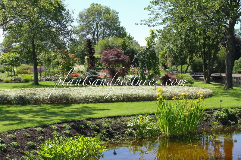 Sortimentstuin Harry van de Laar