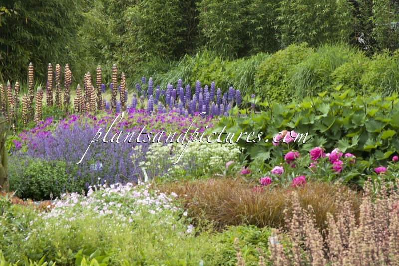 Sortimentstuin Harry van de Laar