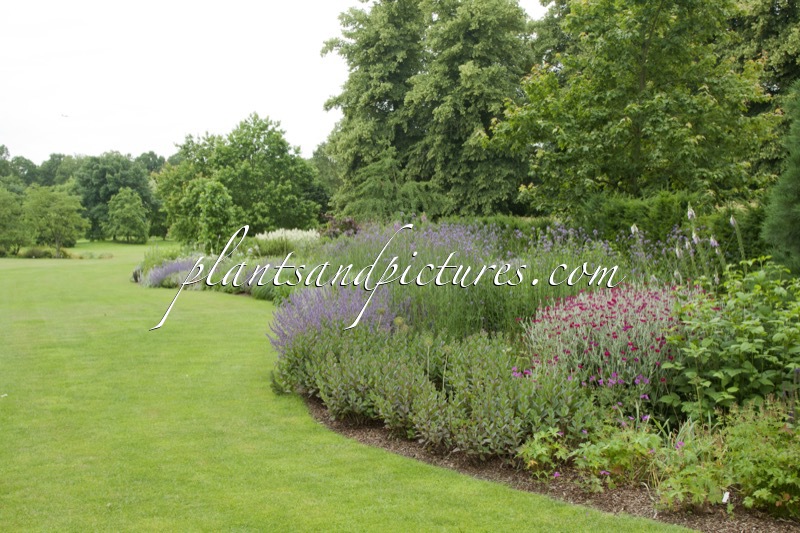 Arboretum Wespelaar