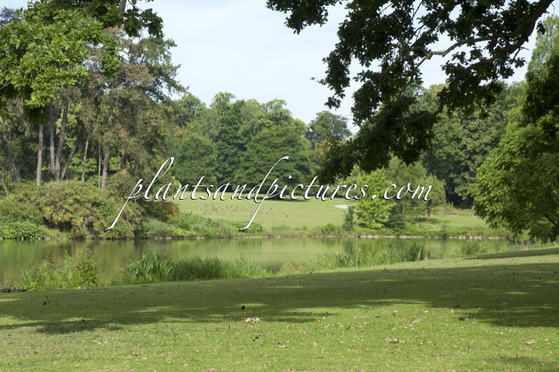 Nationale Plantentuin Meise