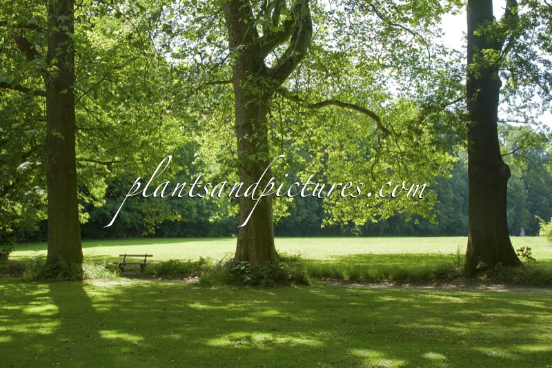 Nationale Plantentuin Meise