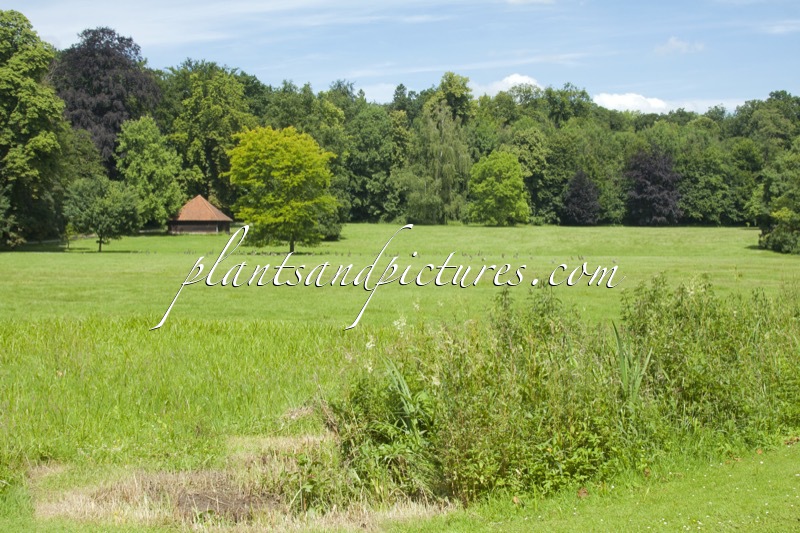 Nationale Plantentuin Meise