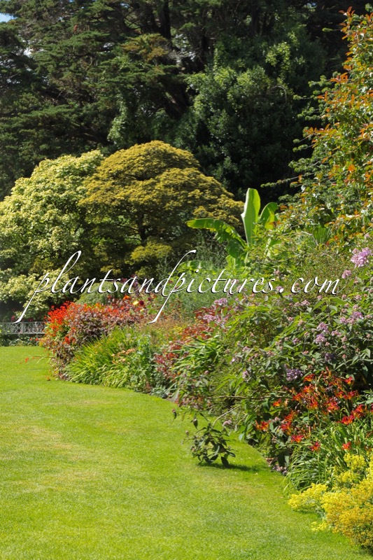 Trelissick Garden