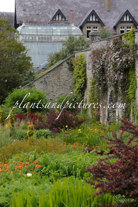 Bodnant Garden