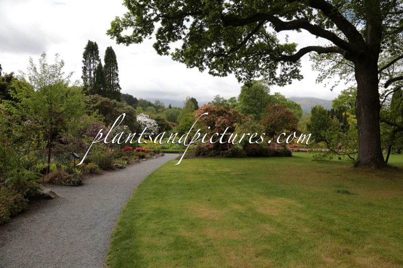Bodnant Garden