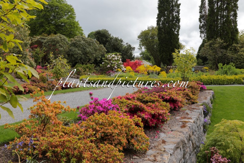 Bodnant Garden