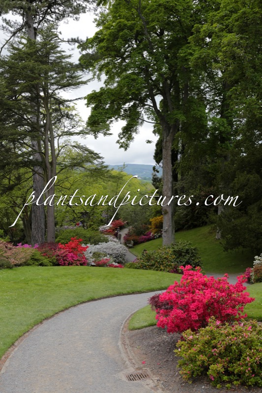 Bodnant Garden