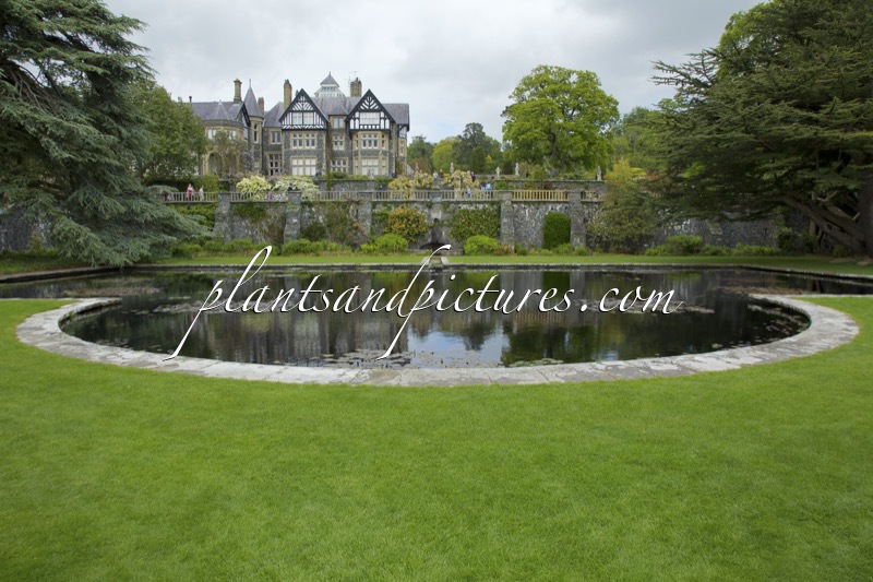 Bodnant Garden