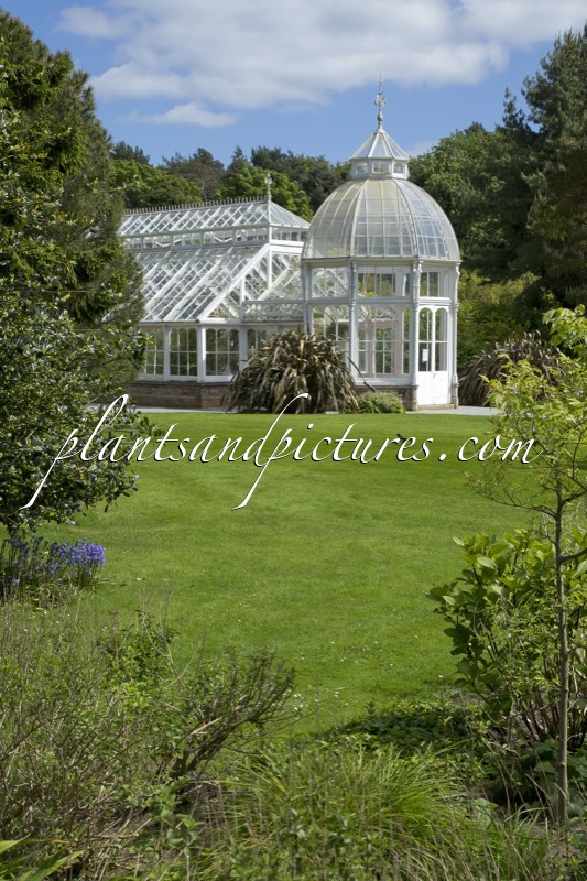 Malahide Castle Garden