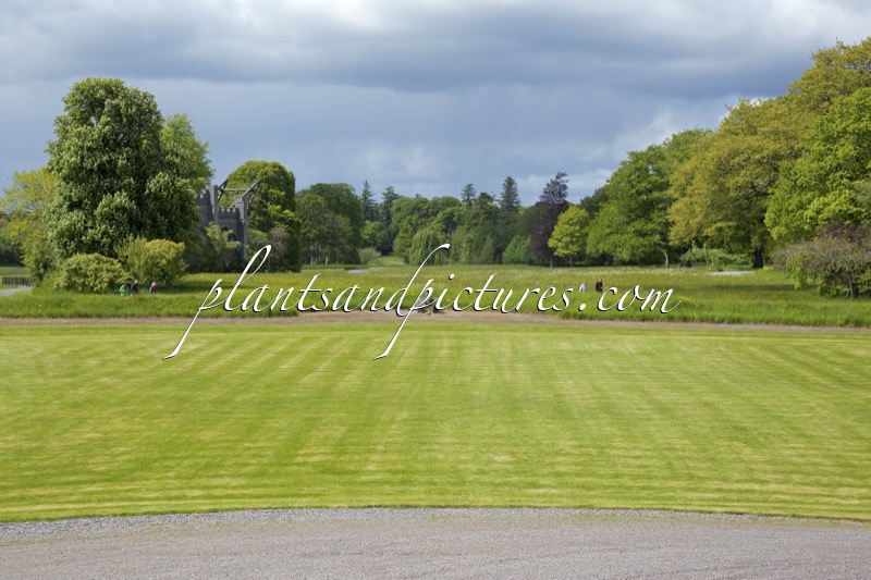 Birr Castle Garden