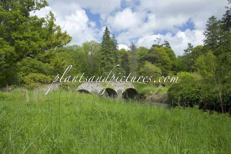 Birr Castle Garden