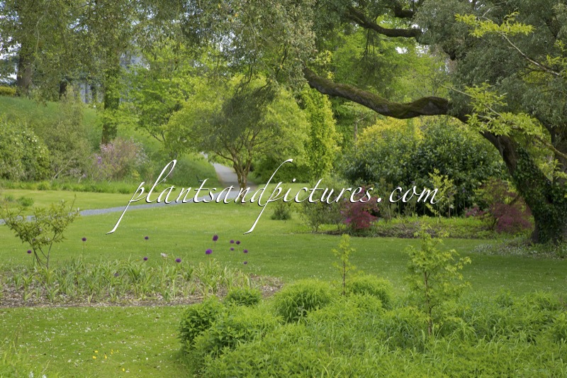 Birr Castle Garden