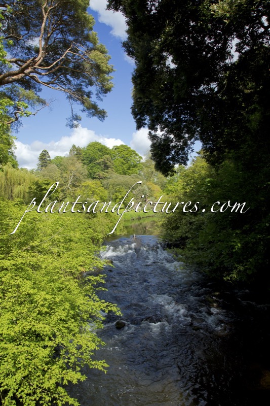 Birr Castle Garden