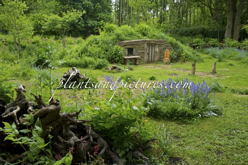 Burnby Hall Gardens