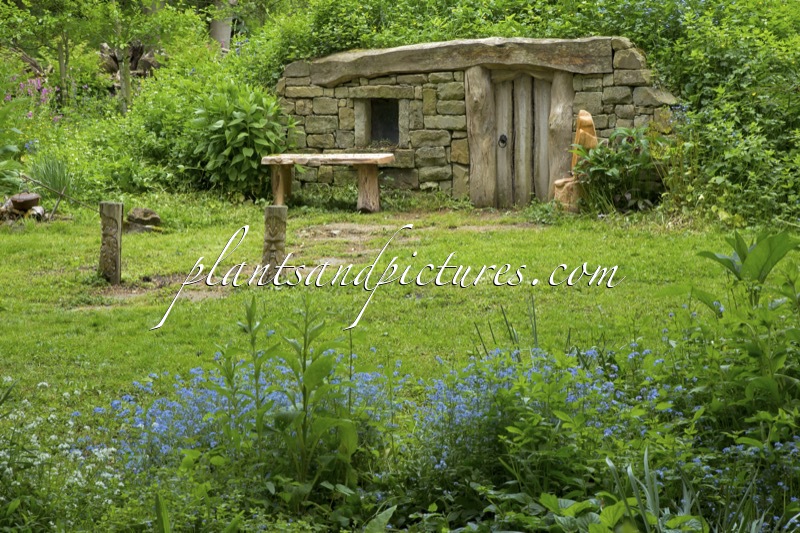 Burnby Hall Gardens