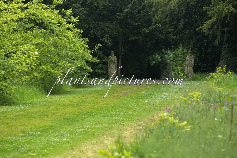 Thorpe Perrow Arboretum