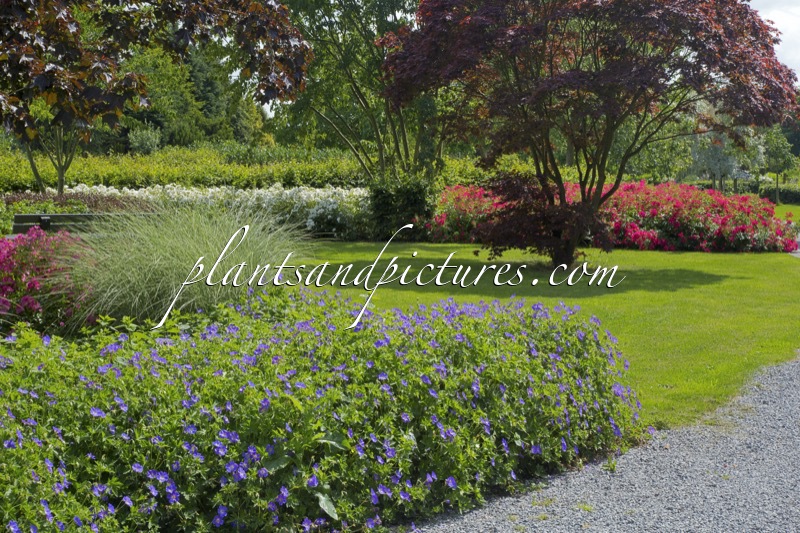 Sortimentstuin Harry van de Laar