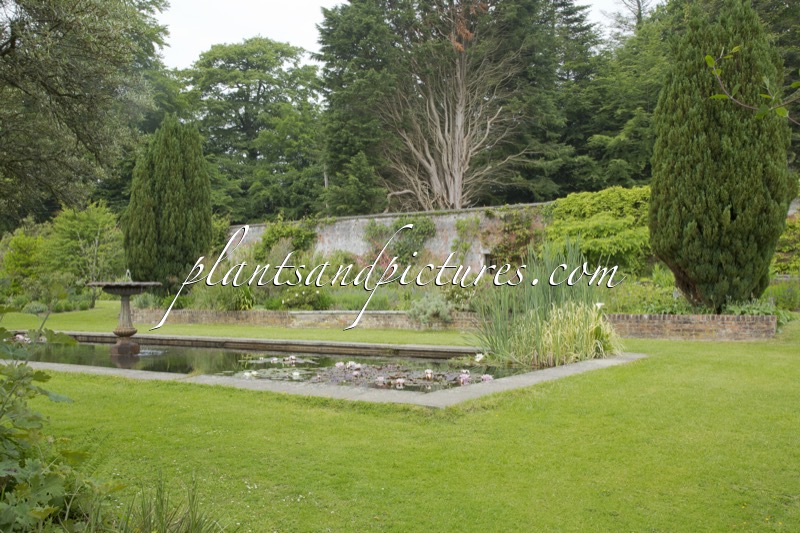 Picton Castle Gardens