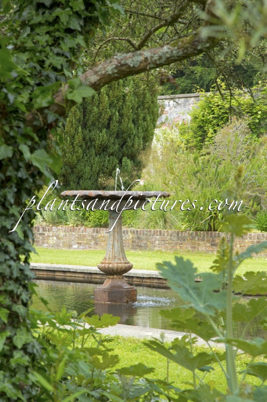 Picton Castle Gardens