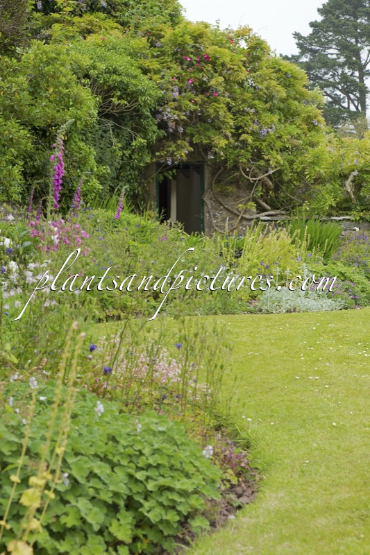 Upton Castle Gardens