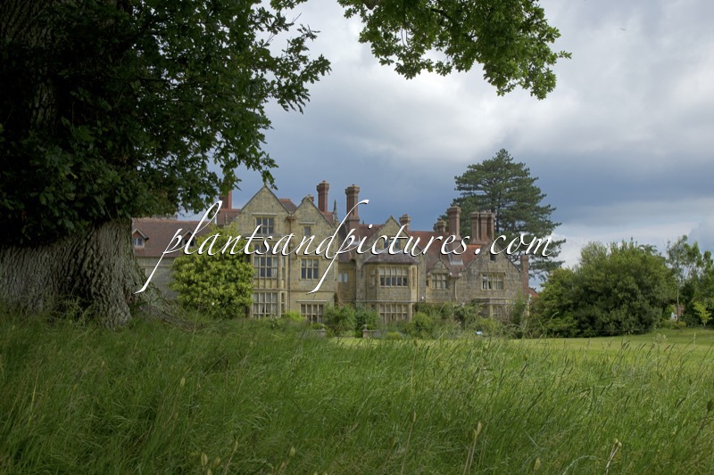 Borde Hill