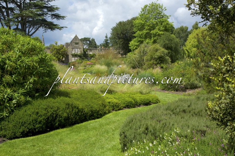 Nymans Garden