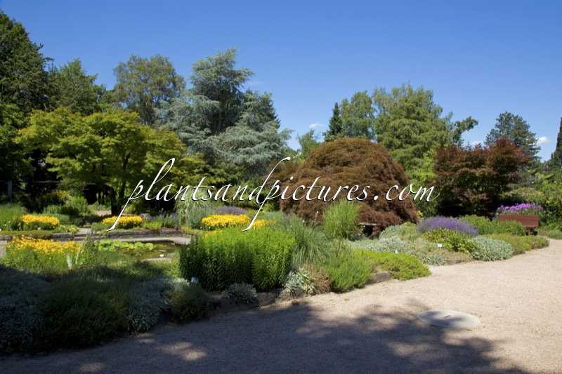 Botanischer Garten Linz