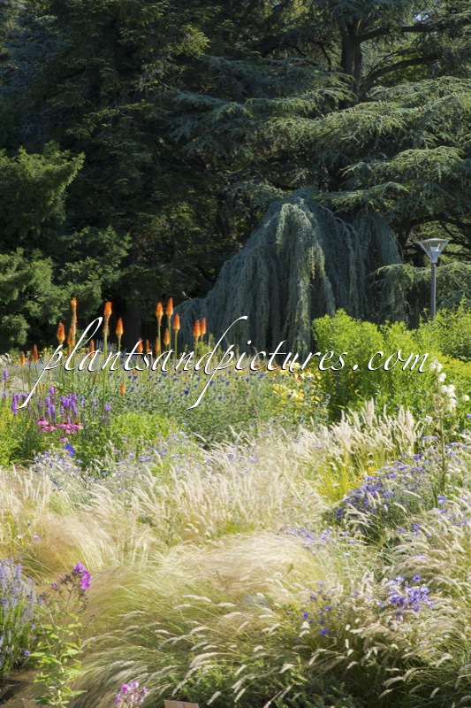 Botanischer Garten Linz