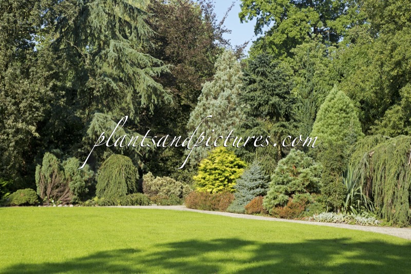 Trompenburg Tuinen & Arboretum