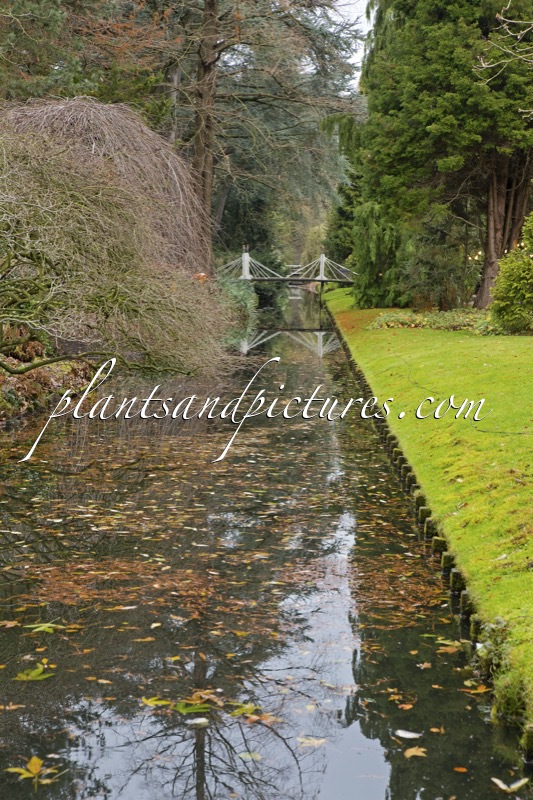 Trompenburg Tuinen & Arboretum