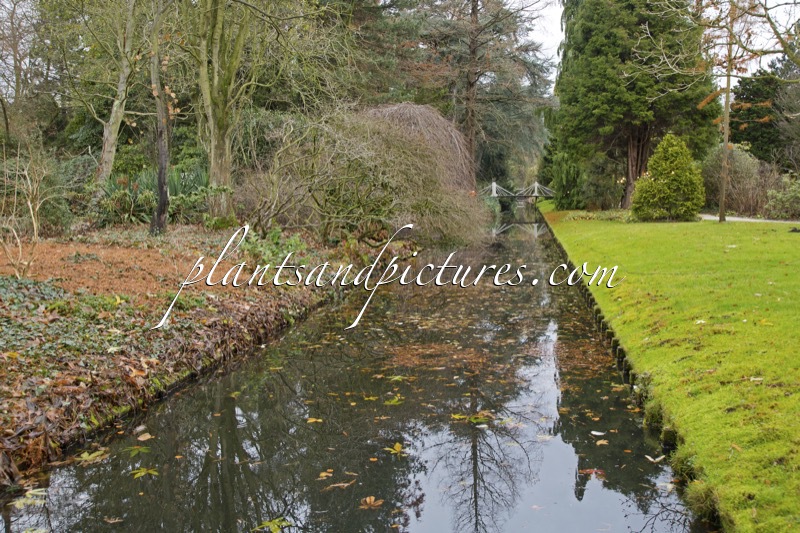 Trompenburg Tuinen & Arboretum
