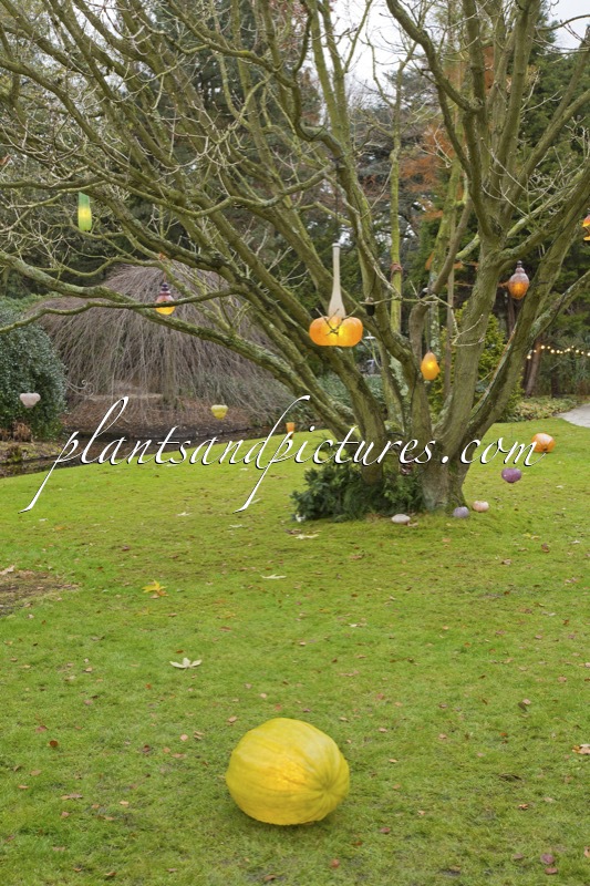 Trompenburg Tuinen & Arboretum