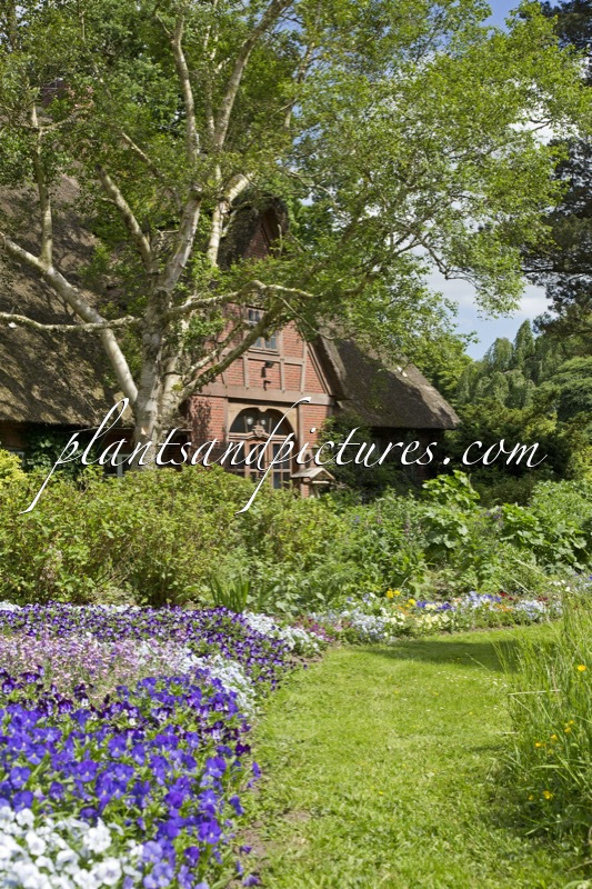 Arboretum Ellerhoop