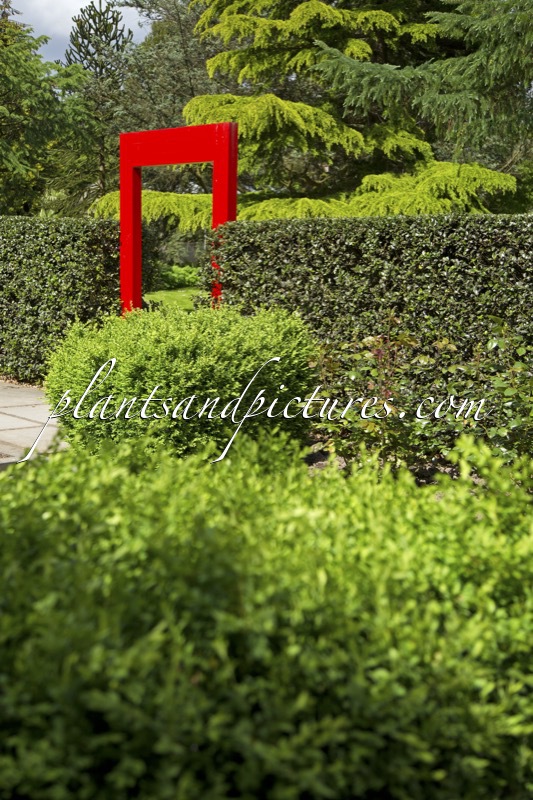 Arboretum Ellerhoop