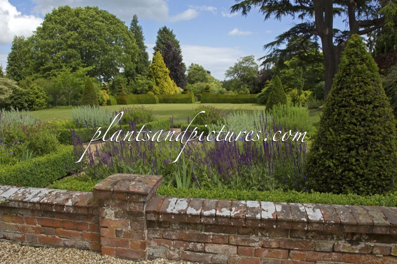 The Place for Plants