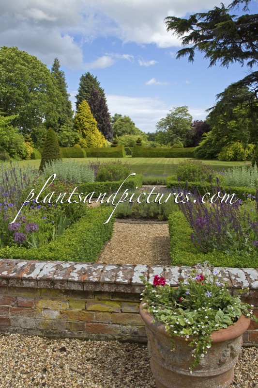 The Place for Plants